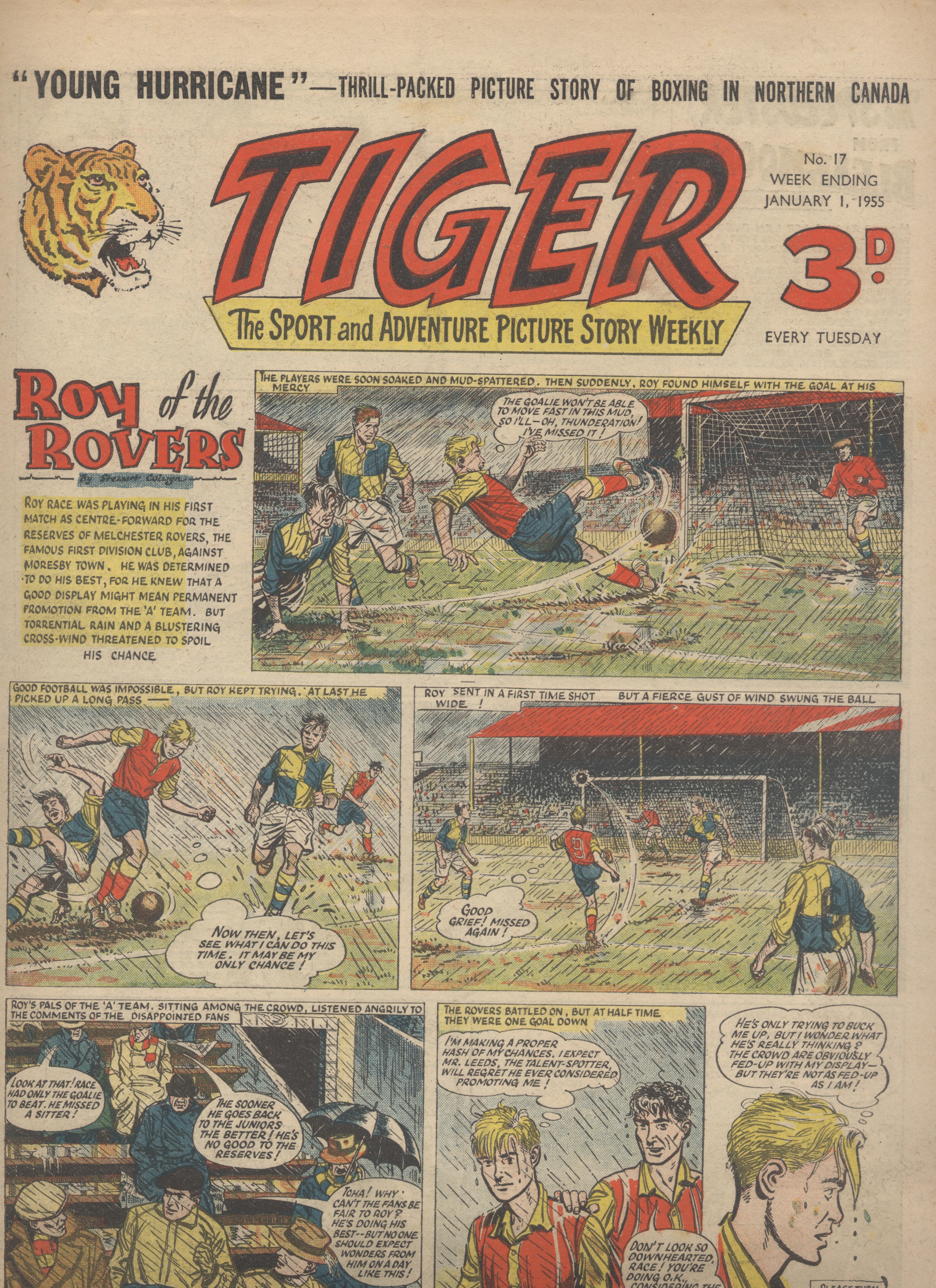 Tiger